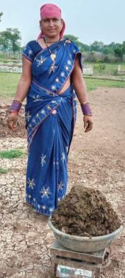 गोधन न्याय योजना से जमीन  खरीदी,  फसल लेना शुरू 