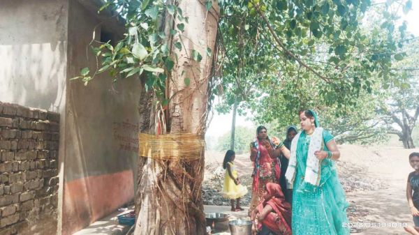 सुहागिनों ने वट सावित्री की पूजा-अर्चना कर व्रत रखा