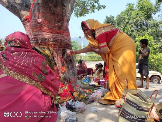 वट सावित्री व्रत रख पति की दीर्घायु की कामना