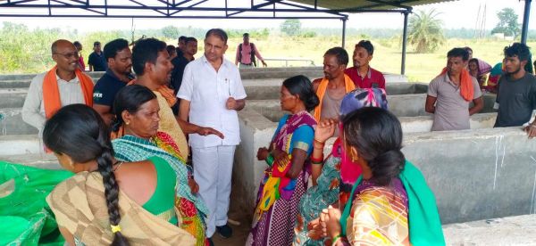 गायों के लिए न चारा और न ही पानी 