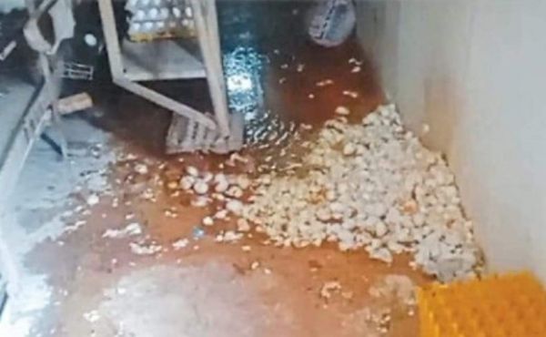 पोल्ट्री फार्म में तोडफ़ोड़ के आरोप  में 9 कांग्रेसियों पर अपराध दर्ज