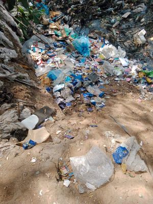 गंदगी फैलाने वाले शिवनाथ हुंडई और एलोन मसाज सेंटर पर 15 हजार रूपये का जुर्माना किया    