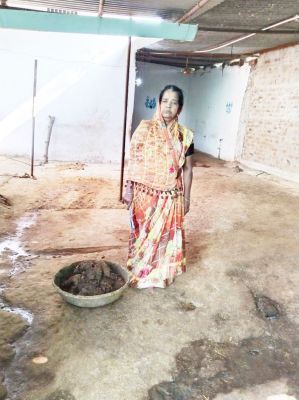 शीला ने गोबर बेचकर गोवंश  के लिए बनाया पक्का मकान