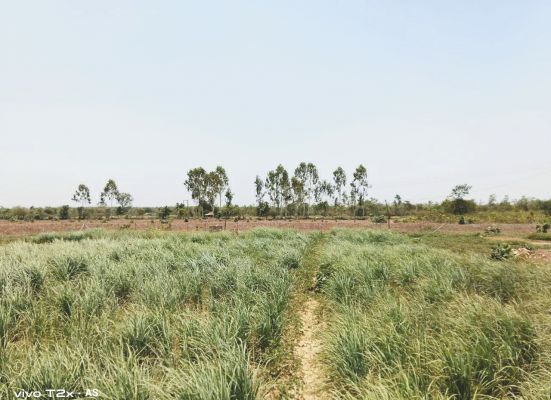 बंजर भूमि की बदलेगी जल्द ही तस्वीर