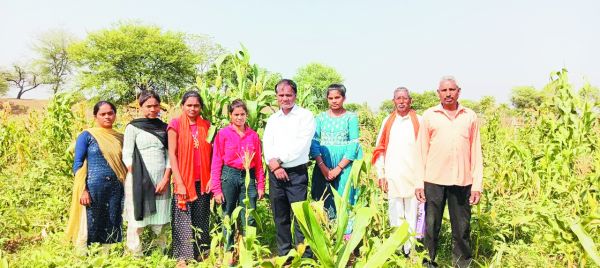 घिरघोल गौठान में समूह की महिलाएं कर रही हैं सब्जियों की खेती