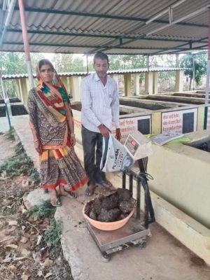 बीरबल ने गोबर बेचकर खरीदी  बकरी तो मनबसिया ने गाय