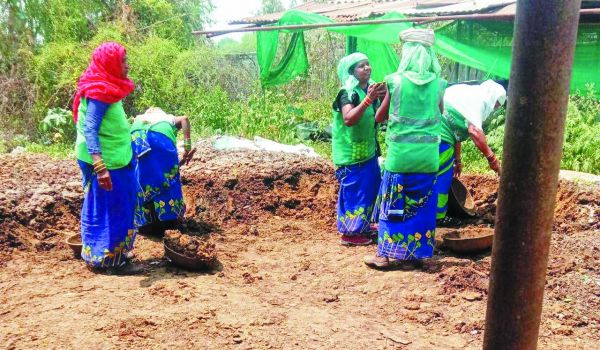 वर्मी कम्पोस्ट बना स्वच्छता दीदियों का अतिरिक्त आय का जरिया