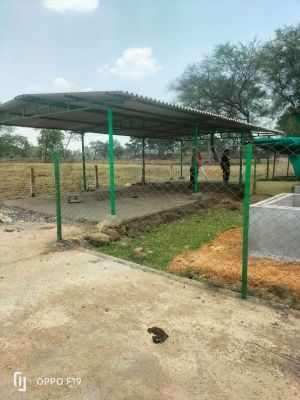 गुजरा स्थित गौठान में अब तक 2900 क्विंटल गोबर की खरीदी