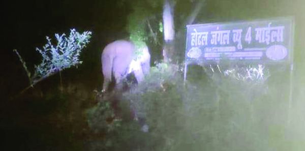 रामानुजगंज शहर के नजदीक  एनएच-343 पर दिखा हाथी