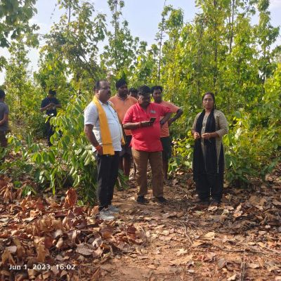 हाथी के हमले से वृद्ध की मौत