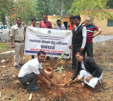 विश्व पर्यावरण दिवस पर पौधरोपण 