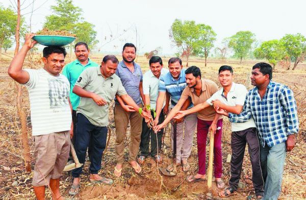समर्पण ग्रुप ने पौधों का रोपण  कर संरक्षण का लिया संकल्प