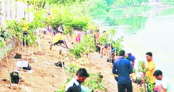 20 सालों से पौधरोपण कर रही सहयोग संस्था का काम तारीफ के काबिल-छाबड़ा