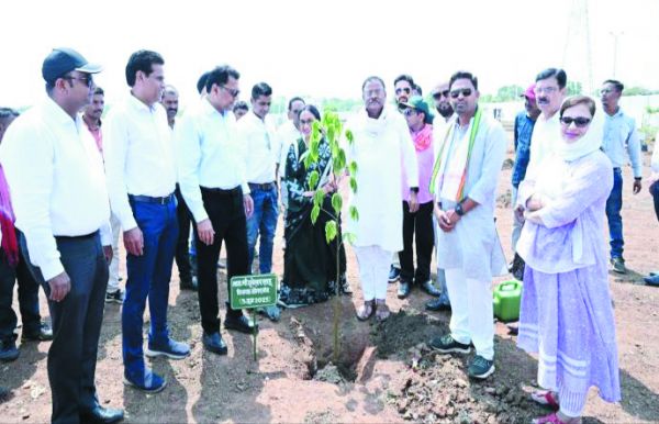 सिर्फ पौधरोपण से ही नहीं होती खत्म हमारी जिम्मेदारी - अल्वी
