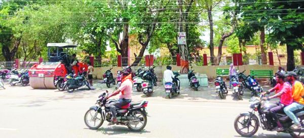 खतरे का सबब बने नीलगिरी के विशालकाय पेड़, नहीं जाग रहा प्रशासन