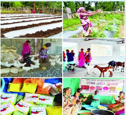 बड़े कड़मा के गौठान ने ग्रामीणों को दिया रोजगार का सुनहरा अवसर