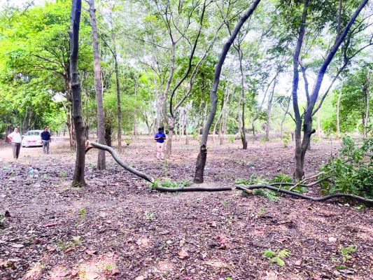 गुणवत्ता के साथ करें निर्माण