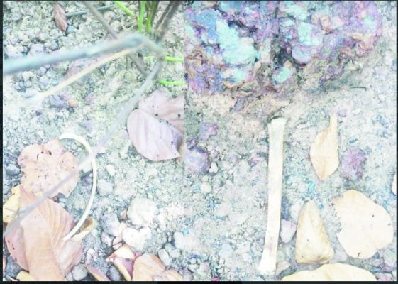 जंगल में मानव कंकाल मिलने से सनसनी,  जांच में जुटी पुलिस 