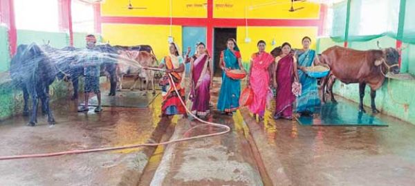 डेयरी व्यवसाय से जुडक़र महिलाओं के जीवन में आई खुशहाली