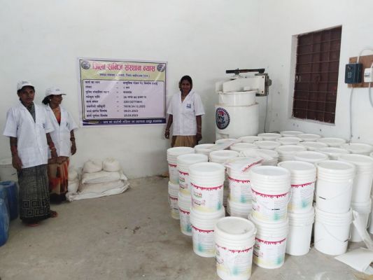 गोबर से प्राकृतिक पेंट के व्यवसाय से जुडक़र ग्रामीण महिलाओं का बढ़ा सम्मान