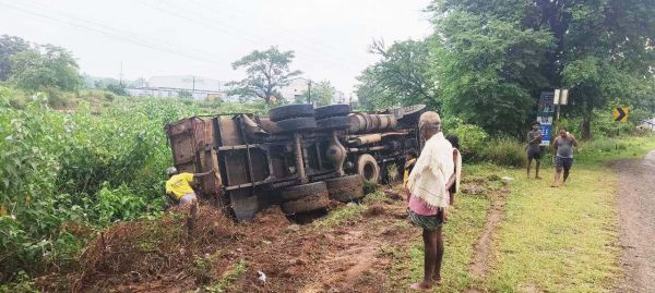 मवेशियों को ठोकर मारते ट्रक पलटा, चालक-परिचालक सुरक्षित