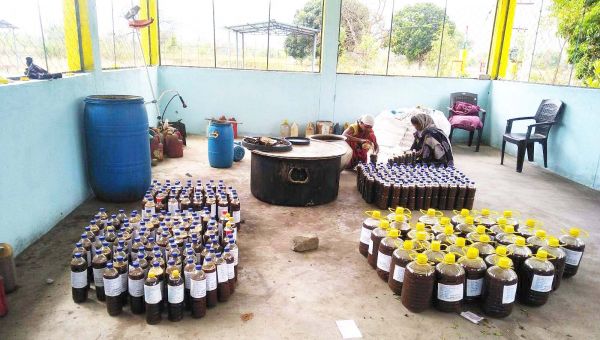 गौमूत्र खरीदी में रायगढ़ फिर से राज्य में टॉप पर