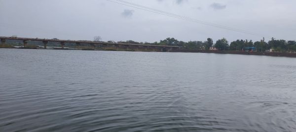 36 घंटे की बारिश से शिवनाथ में बेहतर हुआ पानी का भराव