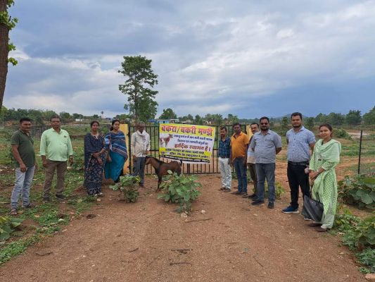 पौनी पसारी परिसर में बकरा बकरी मंडी