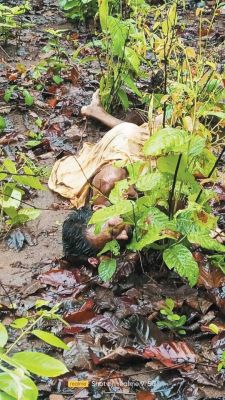 हाथी के हमले से पति की मौत, पत्नी ने भागकर बचाई जान