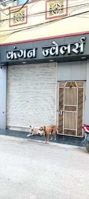 कंगन ज्वेलर्स से जेवर पार करने वाला ग्राहक रायगढ़ से गिरफ्तार