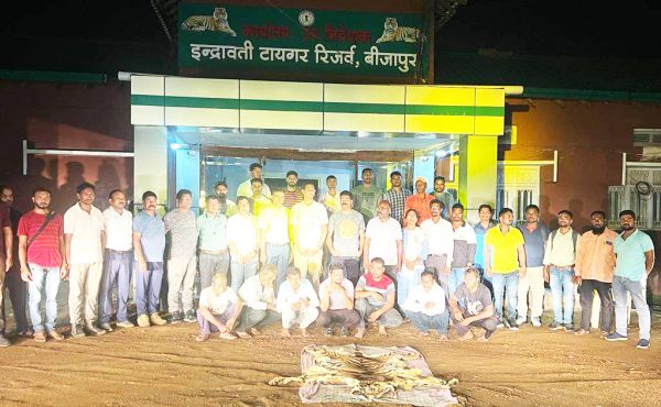 बाघ के शिकार का मामला, पांच महीने पहले किया शिकार, खाल लेकर भटक रहे थे तस्कर