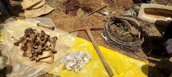 मुख्य शिकारी ने उगले राज, 13 लाख में सीआरपीएफ जवान ने किया था खाल का सौदा, बाघ की हड्डियां बरामद