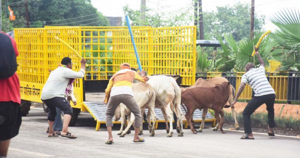 रोका छेका...चकमा