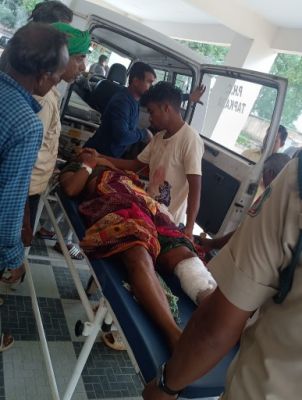 मशरूम बीनने गई दो महिलाओं का हाथी से सामना, एक की मौत, एक गंभीर