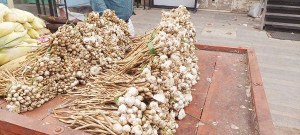 बाजार में फुटु दो हजार रु. किलो