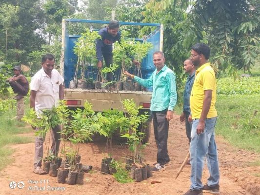 पौधा जगाबो महाअभियान कल 