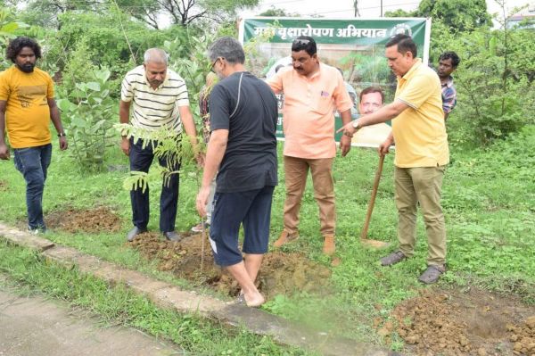 रामदास द्रौपदी फाउंडेशन ने वृंदावन कॉलोनी में किया पौधरोपण
