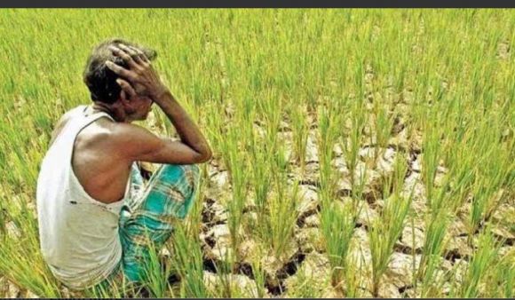 पानी नहीं गिरने से खेतों में पडऩे लगी दरारें, सूखाग्रस्त घोषित करने की मांग