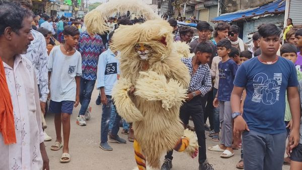 नांदगांव के सडक़ों में मन्नती शेर