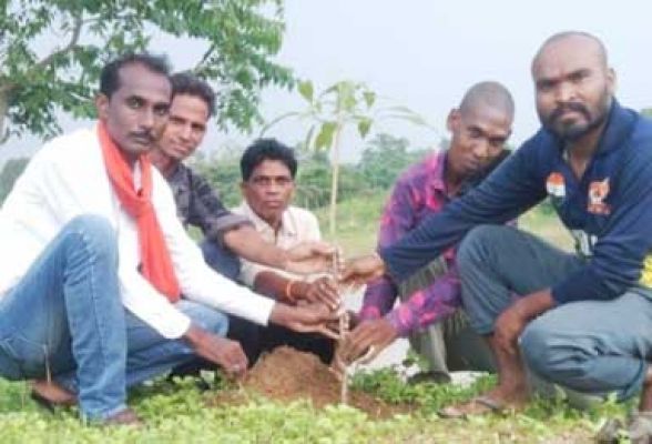 व्यक्ति अपने जीवन काल में कम से कम 10 पौधे लगाए