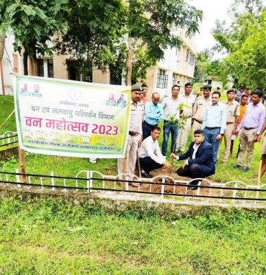 केंद्रीय विद्यालय में पौधरोपण 