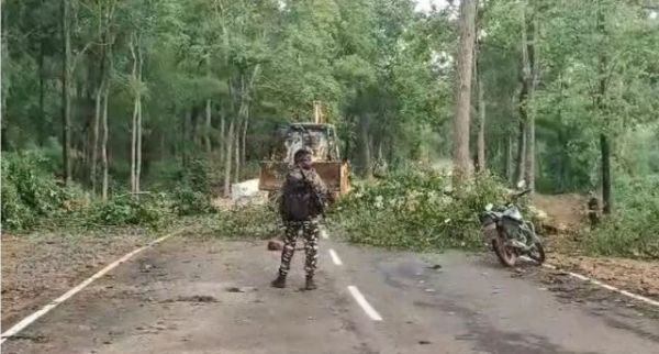 नक्सली शहीद सप्ताह : पेड़ काटकर बाधित किया सडक़