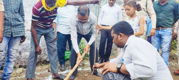 हाई स्कूल परिसर धमनी में  रोपे कटहल के पौधे