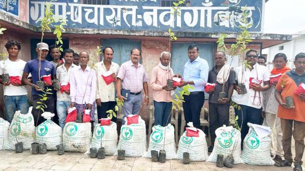 सरपंच के हाथों 99 किसानों को सब्जी मिनीकिट वितरित   