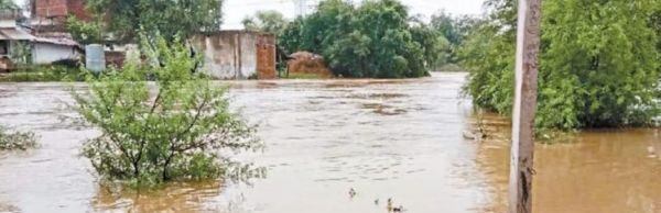 लगातार बारिश के चलते समूचा जिला हुआ तरबतर