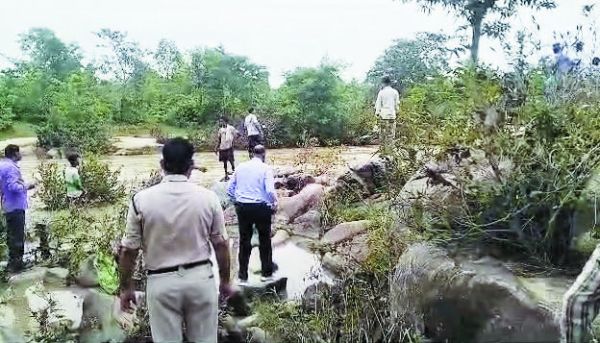 पेड़ से गिरकर 14 साल के बालक की मौत,