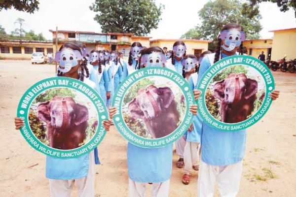 विश्व हाथी दिवस पर विविध जागरुकता कार्यक्रम