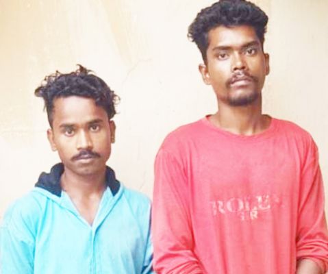 मंदिर में दान पेटी तोडक़र चोरी, 2 गिरफ्तार