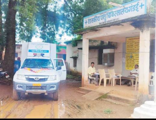 बेसहारा पशुओं के लिए मोबाइल मेडिकल यूनिट बनेगी मददगार
