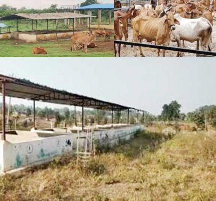 उड़ेला गौठान घोटाला, दोषियों को बचाने अफसरों पर लग रहे आरोप